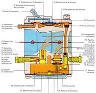 Cliquez pour agrandir l'image
